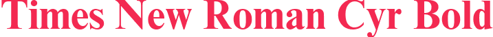 Times New Roman Cyr Bold